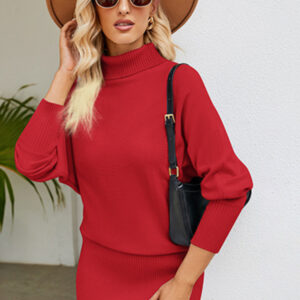 Women's turtleneck long sleeve slim fit sweater dress